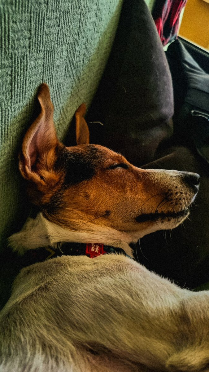 Больше не буду, но вы просто посмотрите на неё 😍