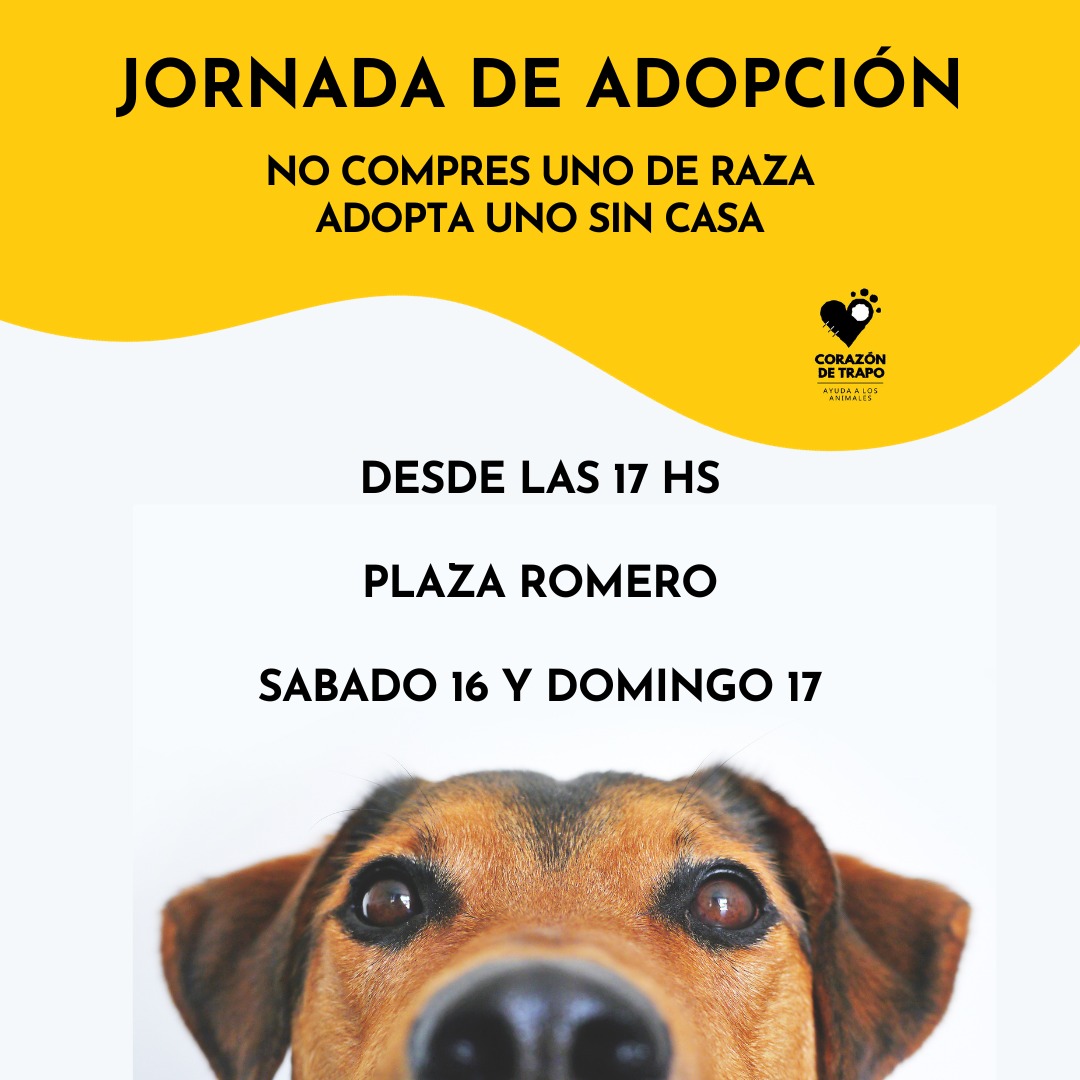 💛JORNADA DE ADOPCION💛

Los esperamos este sábado y domingo a que puedan conocer a nuestros angelitos en esta linda jornada 🙏

Vamos a tener también cosas ricas para el mate 🧉 y asi seguir recaudando para ellos 🫶

📍Plaza Romero, Arroyito, Córdoba