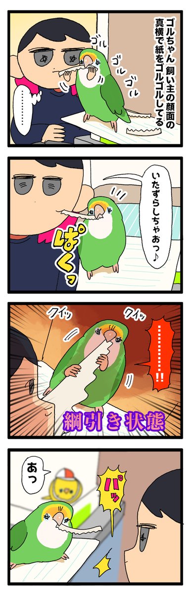 ゴルちゃんにいたずらをしてみたら応答停止しちゃった🚦 899 | えるぽ