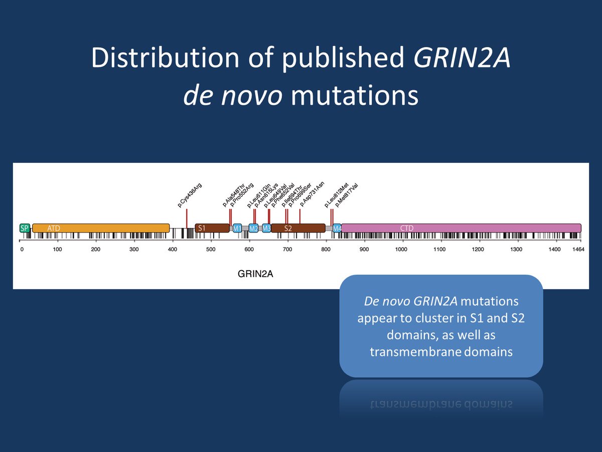 GRIN2A – this is what you need to know in 2023 | Beyond the Ion Channel

epilepsygenetics.net/2023/09/15/gri…

<a href="/CureGrin/">CureGRIN</a>