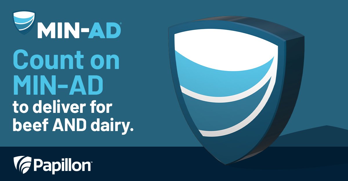 Beef-on-dairy practice is increasing. But with this avenue for growth comes potential complications — specifically a higher incidence of liver abscesses. MIN-AD® can effectively buffer the rumen and hindgut and support immune function. Learn more: papillon-ag.com/products/min-a…