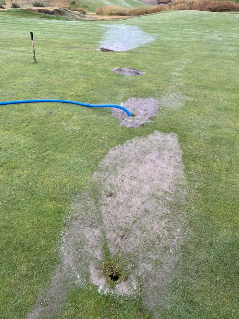 DJ Shallenberger tweet media