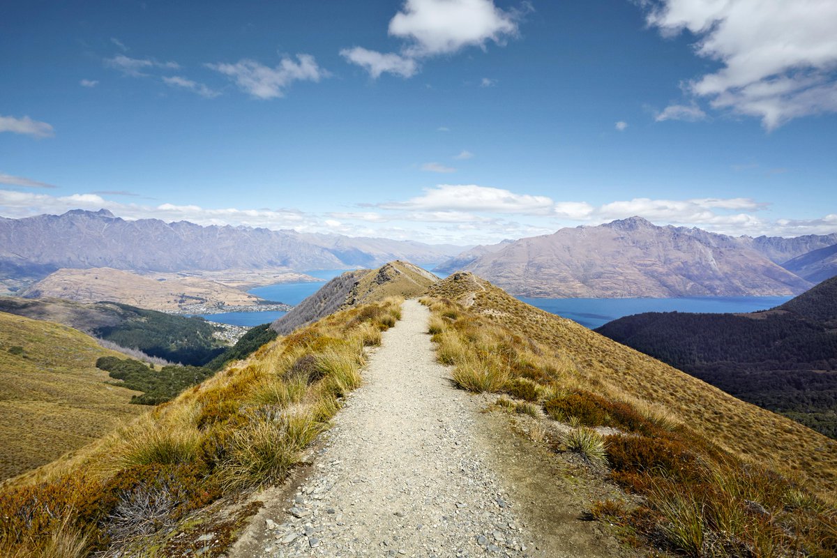 Fidelity Charitable® tweet media