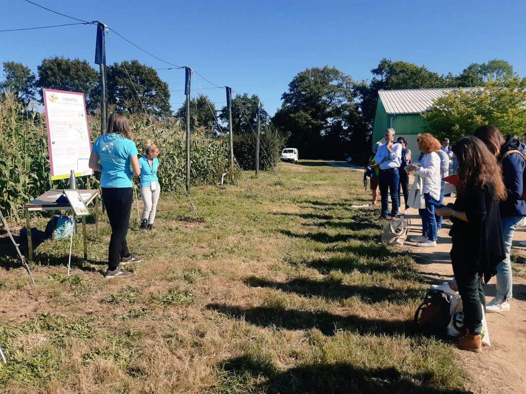 fermadapt's tweet photo. Stéphanie presente les travaux d'adaptation #Fermadapt du groupe d'agriculteurs en maraîchage et @maetBzh présente les essais arachides & pastèques menés à la Station expé. d'Auray (56) dans le cadre de #Climatveg 🍉🥜
🗓️ C'était hier, lors des portes ouvertes de la Station! https://t.co/7zsKPJmVLk