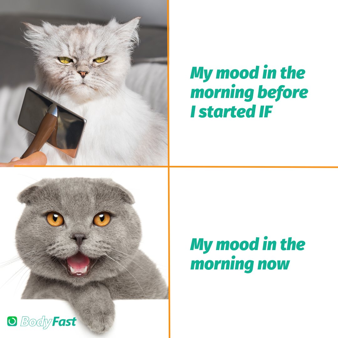 BodyFast Intermittent Fasting tweet media