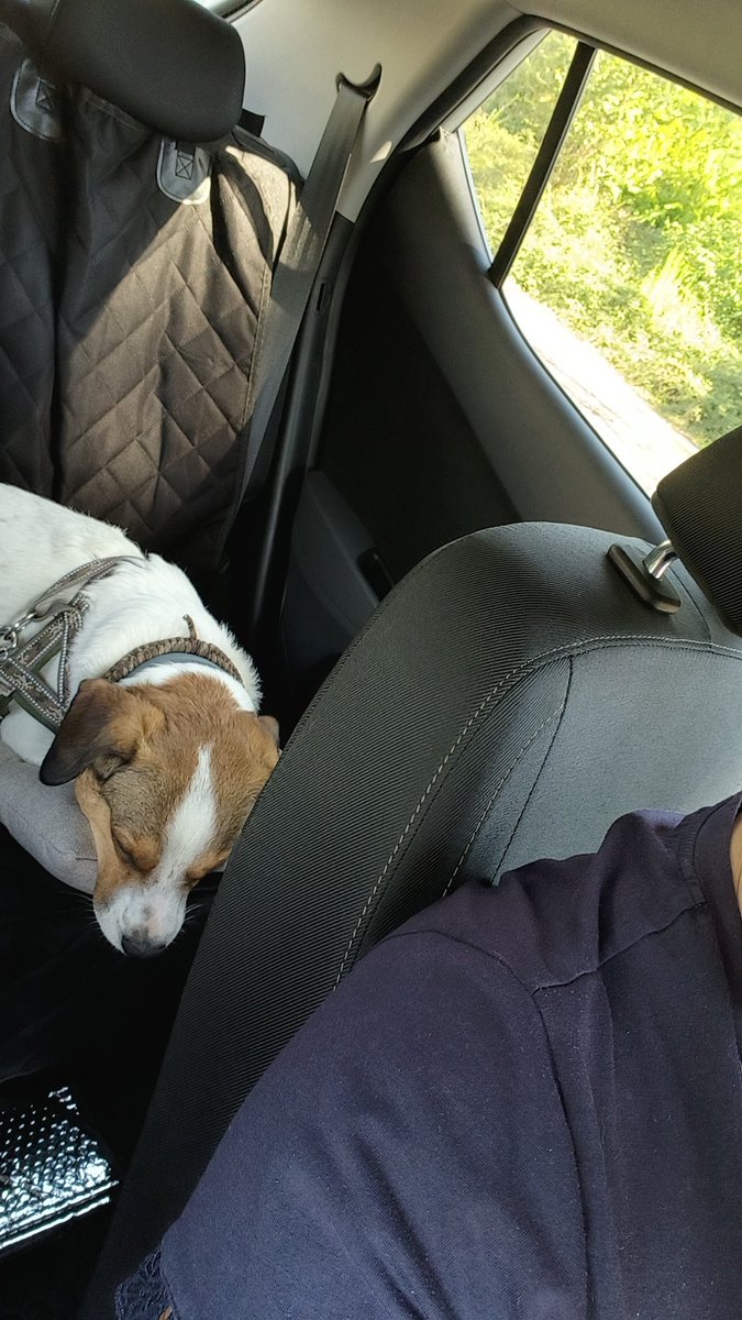 Dopo circa due mesi di assenza, l'asilo ci sfinisce.