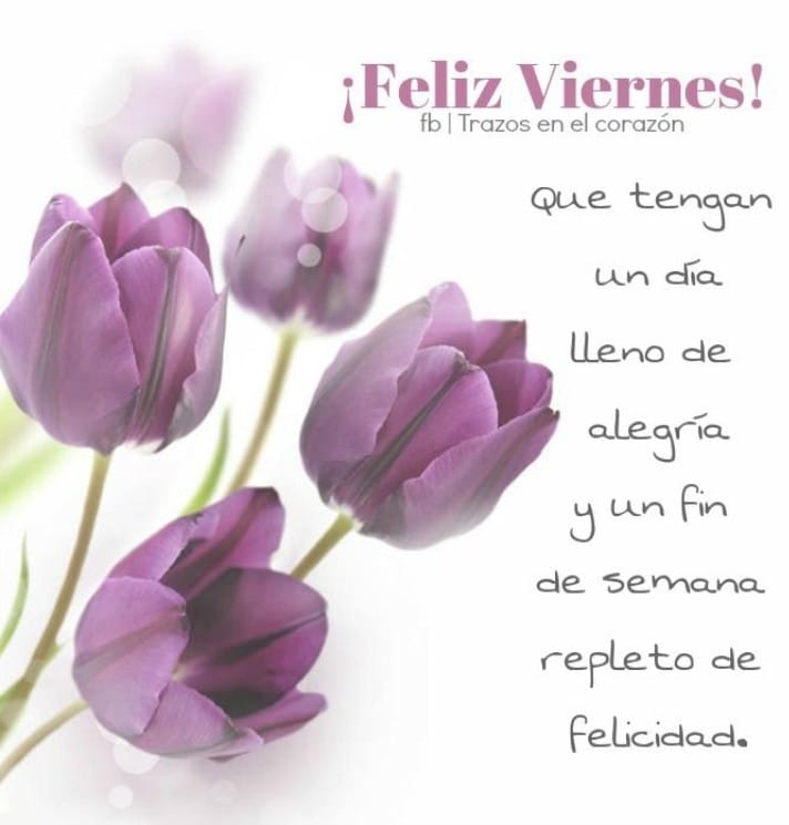 Neyda (@neyda21708001) on Twitter photo Buenos Días Amigos ☀️
#VenezuelaYArgeliaAmigasSiempre
<a href="/NicolasMaduro/">Nicolás Maduro</a> <a href="/Mippcivzla/">MIPPCI</a> <a href="/VTVcanal8/">VTV CANAL 8</a> <a href="/PartidoPSUV/">PSUV</a> <a href="/f_ney/">Neyda Fuenmayor</a> <a href="/Neyda21708001/">Neyda</a> <a href="/neydaf1/">neydaf</a> <a href="/Andinita2021/">La Andinita 🌸💋</a> <a href="/Annys99564218/">Annys</a> <a href="/Anna77532935380/">Anna</a> <a href="/AnniMorales14/">Anni</a> <a href="/AngelAdanCPTT/">Angel Adan</a> @AngelJoseR85513 <a href="/Angelma93170915/">Angel manuel Monroy hernandez</a> <a href="/Angelma93170915/">Angel manuel Monroy hernandez</a> <a href="/angie100p/">Venezuela Mia</a> Buenos Días Amigos ☀️
#VenezuelaYArgeliaAmigasSiempre
<a href="/NicolasMaduro/">Nicolás Maduro</a> <a href="/Mippcivzla/">MIPPCI</a> <a href="/VTVcanal8/">VTV CANAL 8</a> <a href="/PartidoPSUV/">PSUV</a> <a href="/f_ney/">Neyda Fuenmayor</a> <a href="/Neyda21708001/">Neyda</a> <a href="/neydaf1/">neydaf</a> <a href="/Andinita2021/">La Andinita 🌸💋</a> <a href="/Annys99564218/">Annys</a> <a href="/Anna77532935380/">Anna</a> <a href="/AnniMorales14/">Anni</a> <a href="/AngelAdanCPTT/">Angel Adan</a> @AngelJoseR85513 <a href="/Angelma93170915/">Angel manuel Monroy hernandez</a> <a href="/Angelma93170915/">Angel manuel Monroy hernandez</a> <a href="/angie100p/">Venezuela Mia</a>
