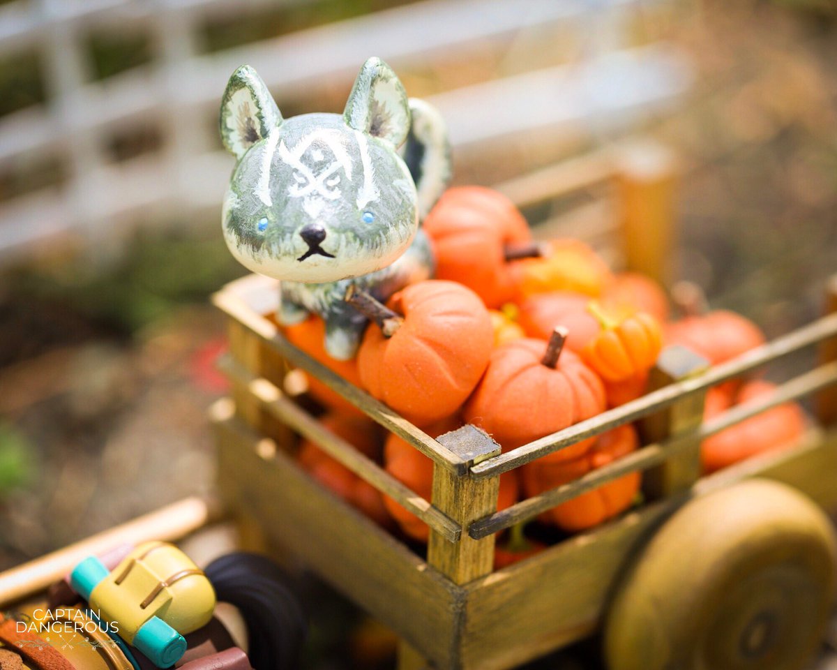 Captain Dangerous tweet media