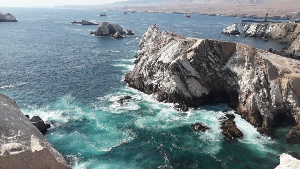 AmbienteAQP's tweet photo. PROYECTAN MIRADOR TURÍSTICO EL FARO Y CONSERVACIÓN DE LA BIODIVERSIDAD EN LA ZONA MARINA COSTERA DE LAS PLAYAS Y CALETAS MÁGICAS DE MATARANI Y QUILCA.
Mayor información en el siguiente enlace: 
https://t.co/XN5bAMXzXt https://t.co/xoi0ovwIQC