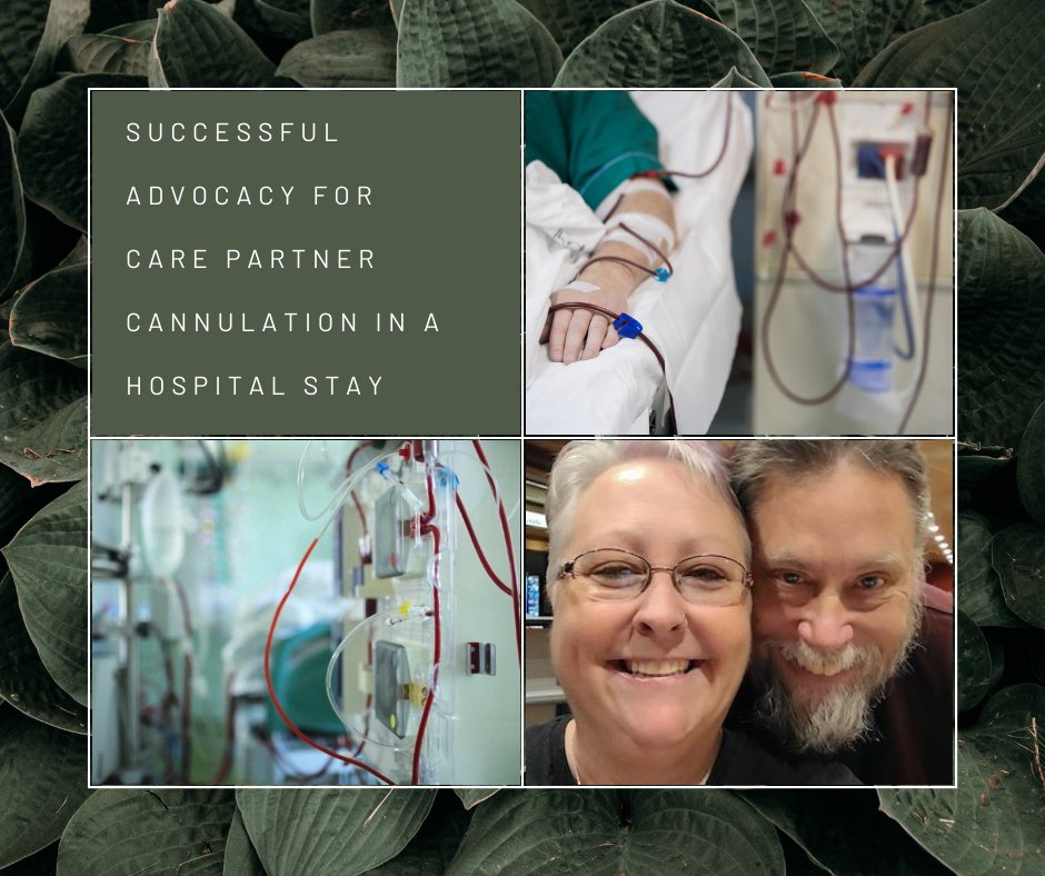 Home Dialysis Central tweet media