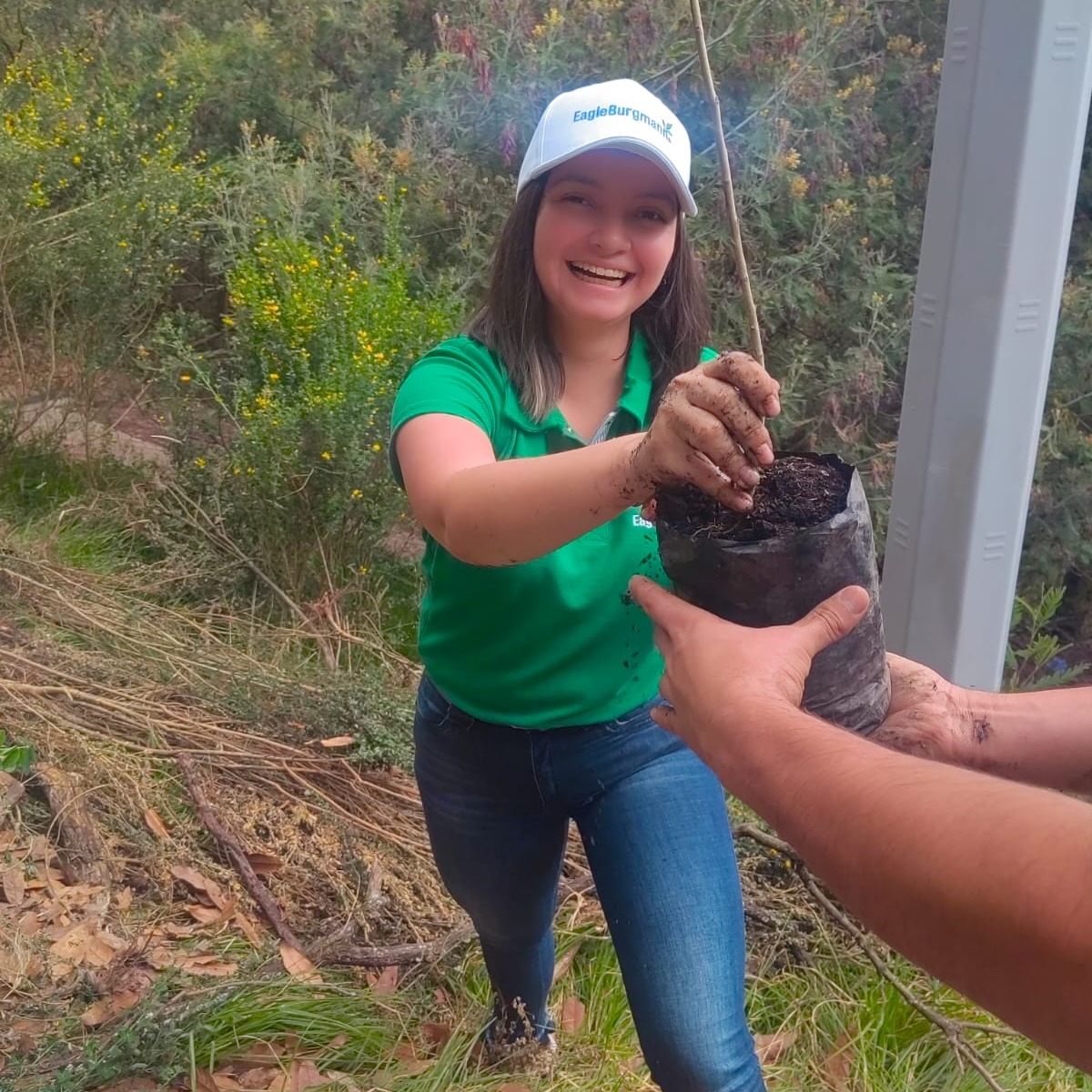 ¡Agradecemos a @EagleburgmannColombia por su compromiso ambiental! 🌱🌍 Su valiosa siembra en la cuenca alta del río Bogotá es un paso significativo hacia nuestra misión de combatir el cambio climático. #CambioClimático #CompromisoAmbiental  #RíoBogotá #PreservaciónAmbiental
