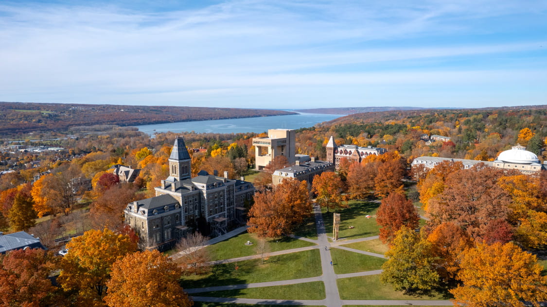 Andrea Giometto (@andreagiometto) on Twitter photo 📢Please RT!📢Two #postdoc positions available at the crossroads of Evolutionary Microbiology & Soft/Active Matter Physics in my group. Engage with the exciting Microbiology and Soft/Active Matter community <a href="/Cornell/">Cornell University</a>! Funded by <a href="/NIH/">NIH</a> <a href="/HFSP/">HFSP</a>. Apply here: academicjobsonline.org/ajo/jobs/25327 📢Please RT!📢Two #postdoc positions available at the crossroads of Evolutionary Microbiology & Soft/Active Matter Physics in my group. Engage with the exciting Microbiology and Soft/Active Matter community <a href="/Cornell/">Cornell University</a>! Funded by <a href="/NIH/">NIH</a> <a href="/HFSP/">HFSP</a>. Apply here: academicjobsonline.org/ajo/jobs/25327