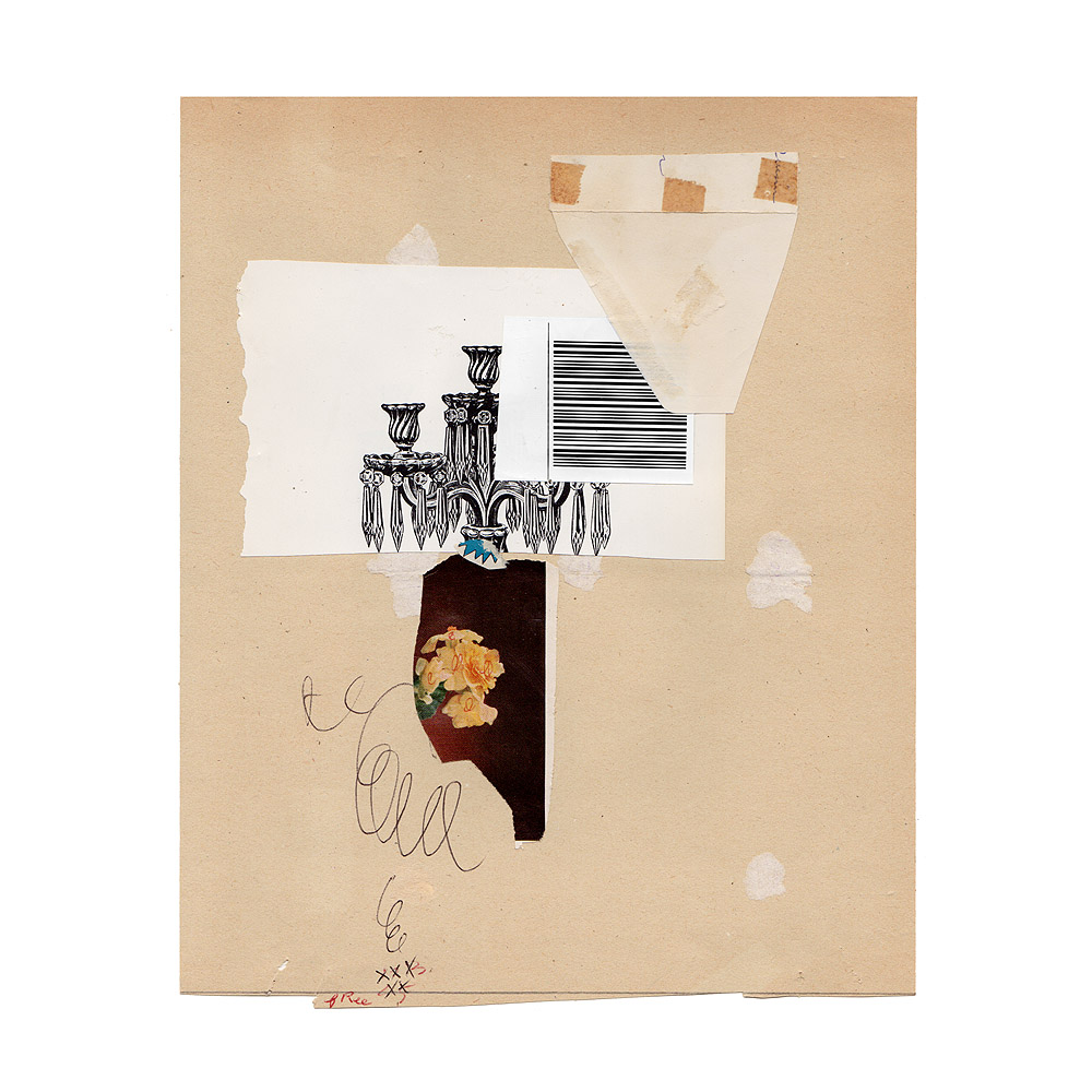 fred free tweet media