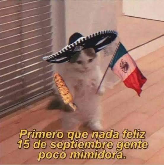 darkcrhos's tweet photo. #15DeSeptiembre https://t.co/JU7ufaeA59