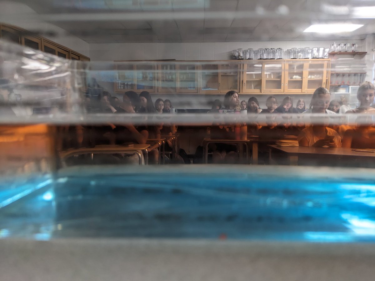 MissReynoldsHHS's tweet image. First full week back and lots to learn! APES is figuring out how solar radiation and atmospheric properties create our climate and weather systems, and IB ESS is modeling sustainable use of resources with an overfishing game. #wearehowell @HHSrebelscience @BravermanHHS