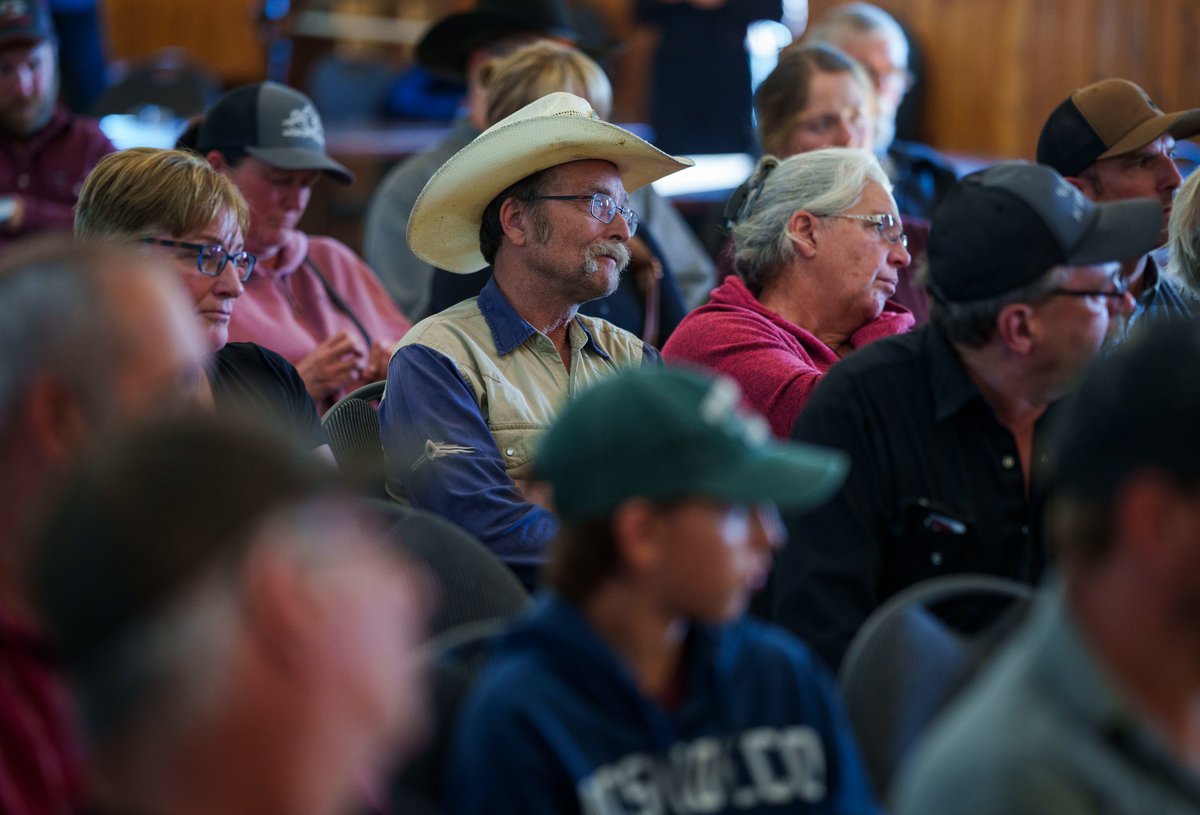 Pierre Poilievre tweet media