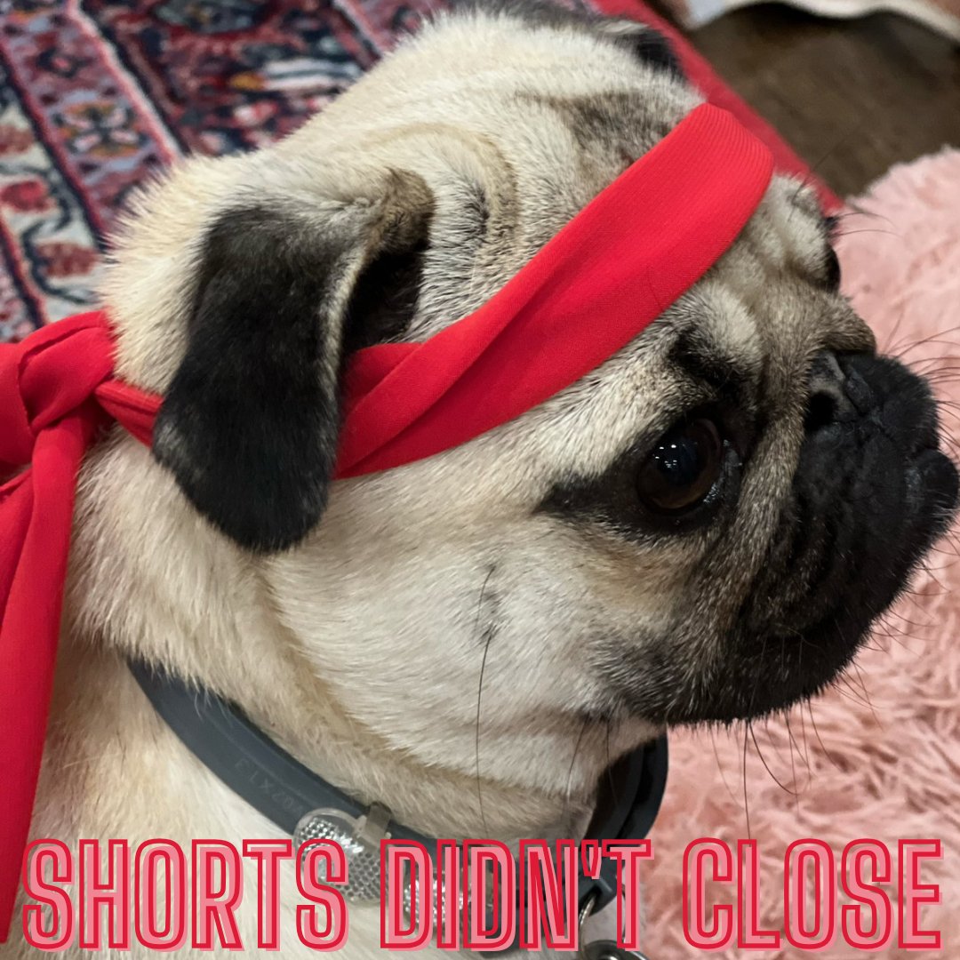 2r0v3's tweet photo. @benmezrich #CANTSTOP #WONTSTOP #FORGETABOUT #GAMESTOP $GME
TLDR; the shorts still haven't closed https://t.co/IA6uMD9okJ