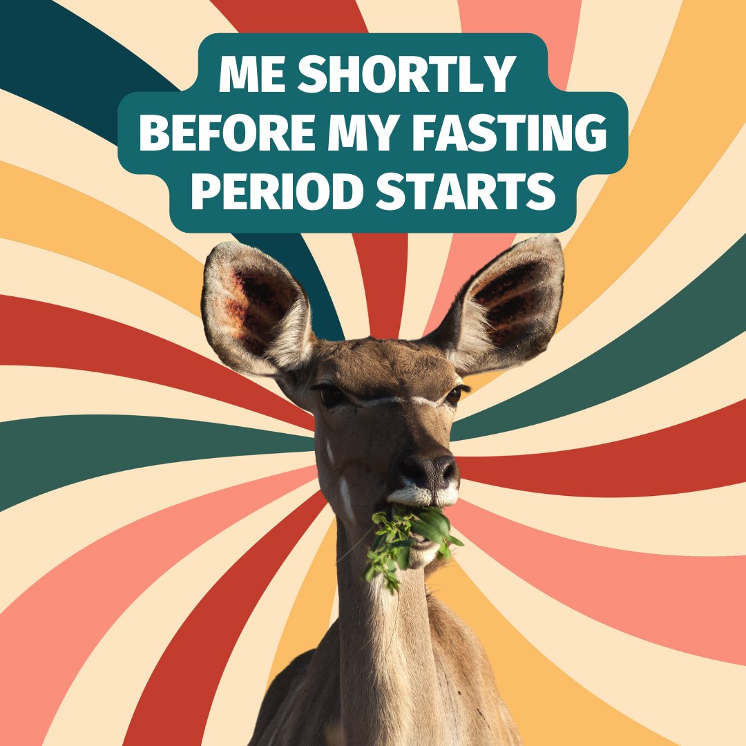 bodyfastapp's tweet image. Who else turns into a munching deer right before the fasting period starts? 🦌🍴😄

#IntermittentFasting #DeerMode #BodyFast