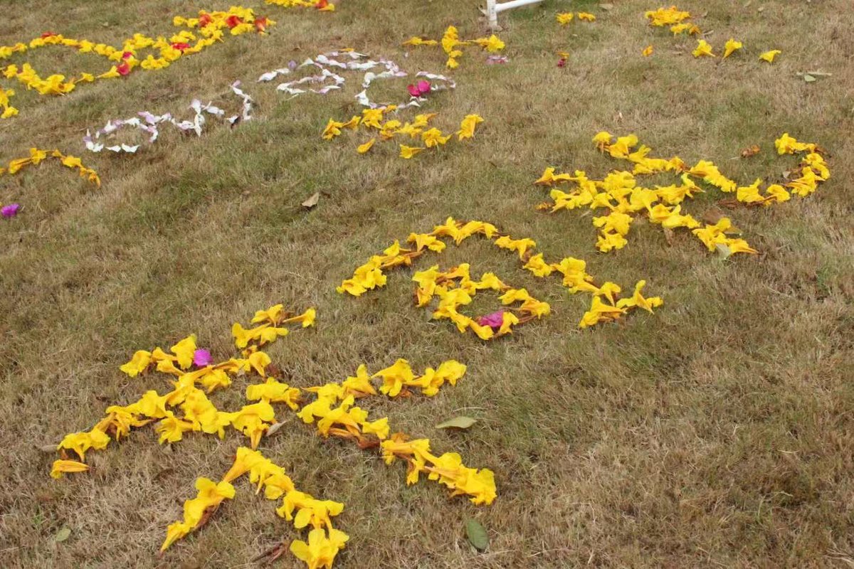 vbauer16's tweet image. I'm really looking forward to trying out this cosplay makeup tutorial for XiShogunnyan!
 🥳🥳🥳🥳🥳 #原神 #Genshnin Impact #AllForCITY #Eulamber #HonkaiImpact3rd #NOMA  
Original: 朝搴