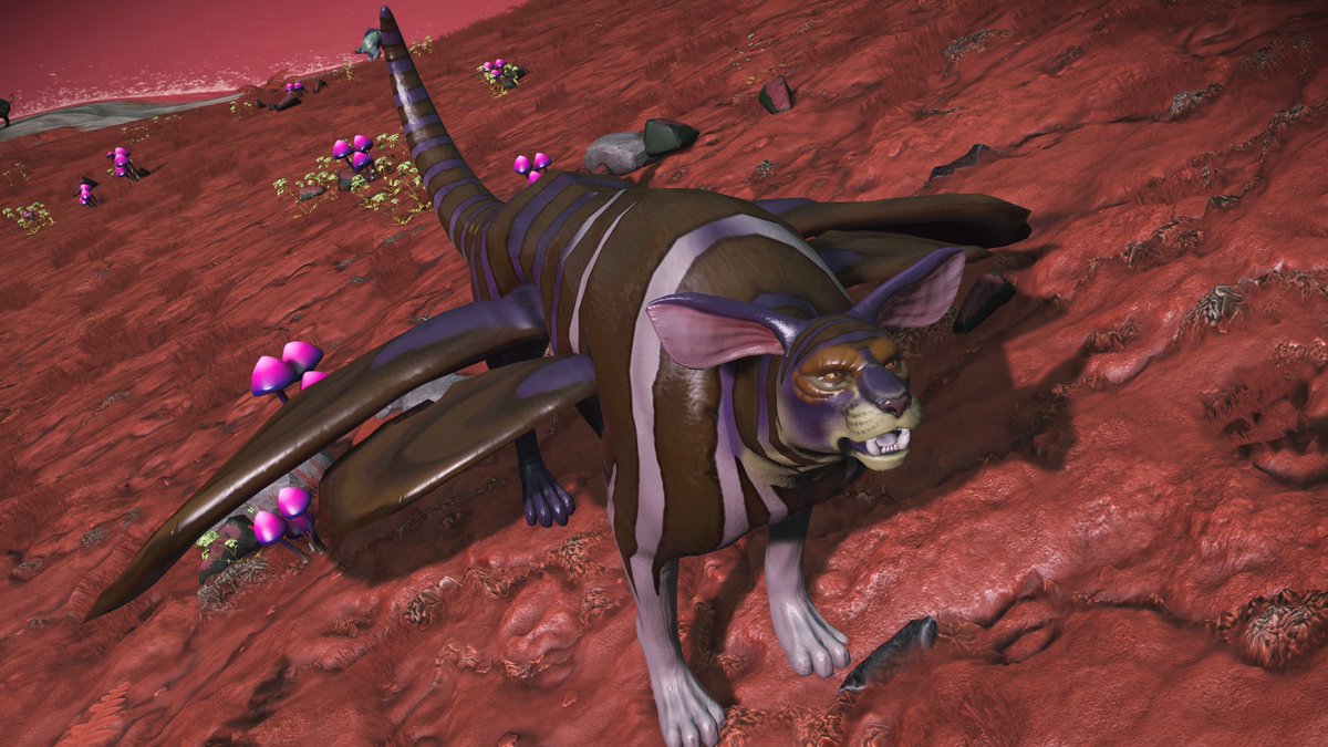 nms_friendstacy's tweet photo. #NMScreatures #PS5Share, #NoMansSky https://t.co/FinhEmIsVz