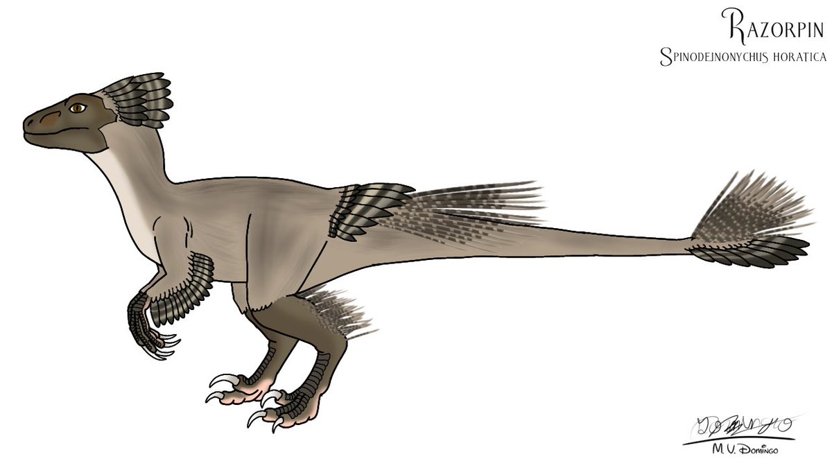 ognimdo2002's tweet photo. #Spectember 15 – Razorpin
The newly evolved dinosaur introduced in Worldcraft series.
#Deinonychus, #dinosaur, #art, #artph, #art2021, #nostalgia, #illustration, #Razorpin, #illustrationart, #ibisPaintX. https://t.co/aeuPbekIoQ