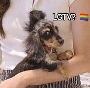 Barbarella • The Air 🌬🌪 tweet media