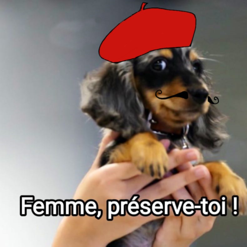 Barbarella • The Air 🌬🌪 tweet media