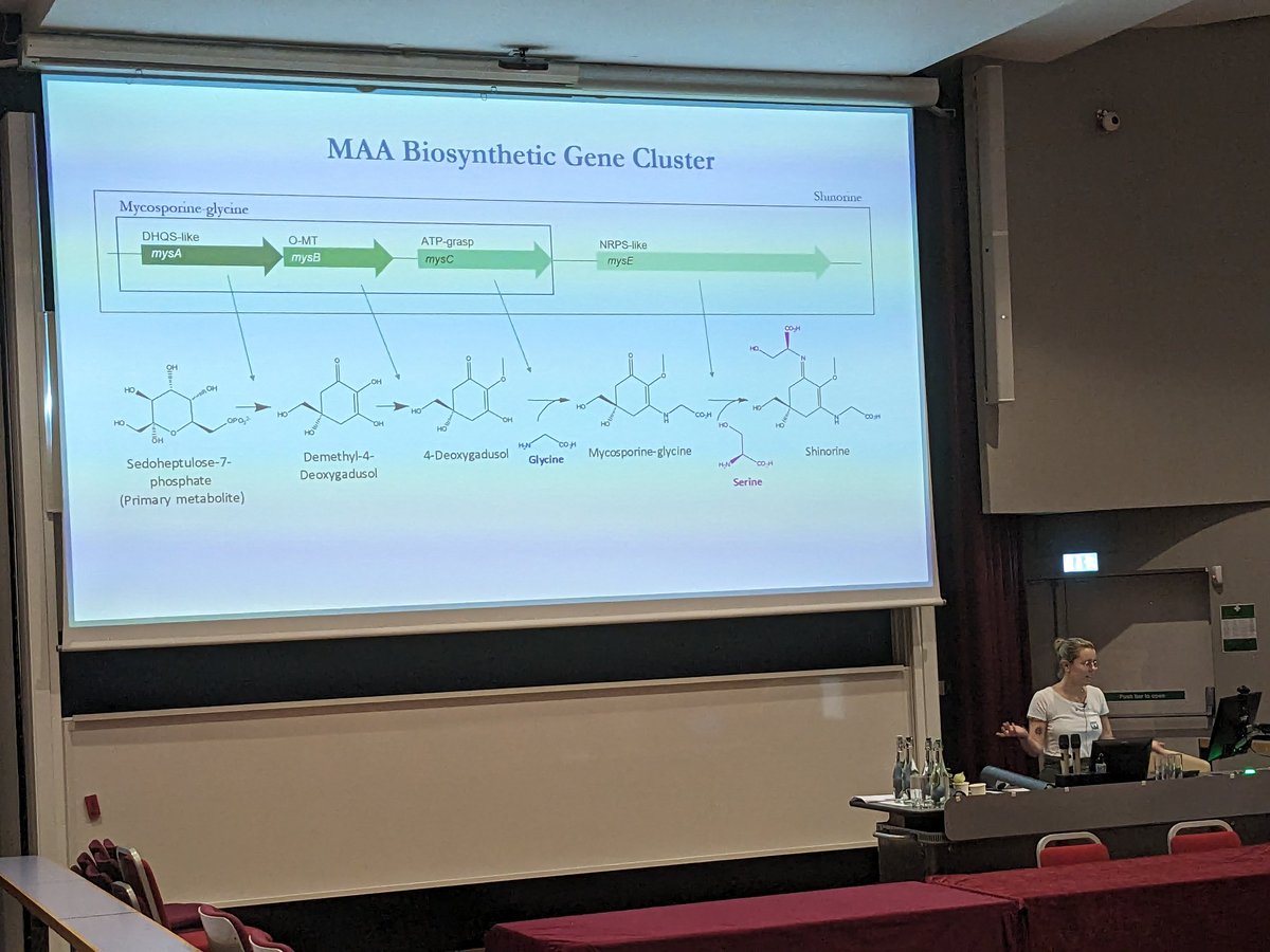 CENTA_Conf's tweet photo. Paula Martin de Prado presents on the production of UV-absorbing compounds in strains of cyanobacteria https://t.co/JpUVOxt6b3
