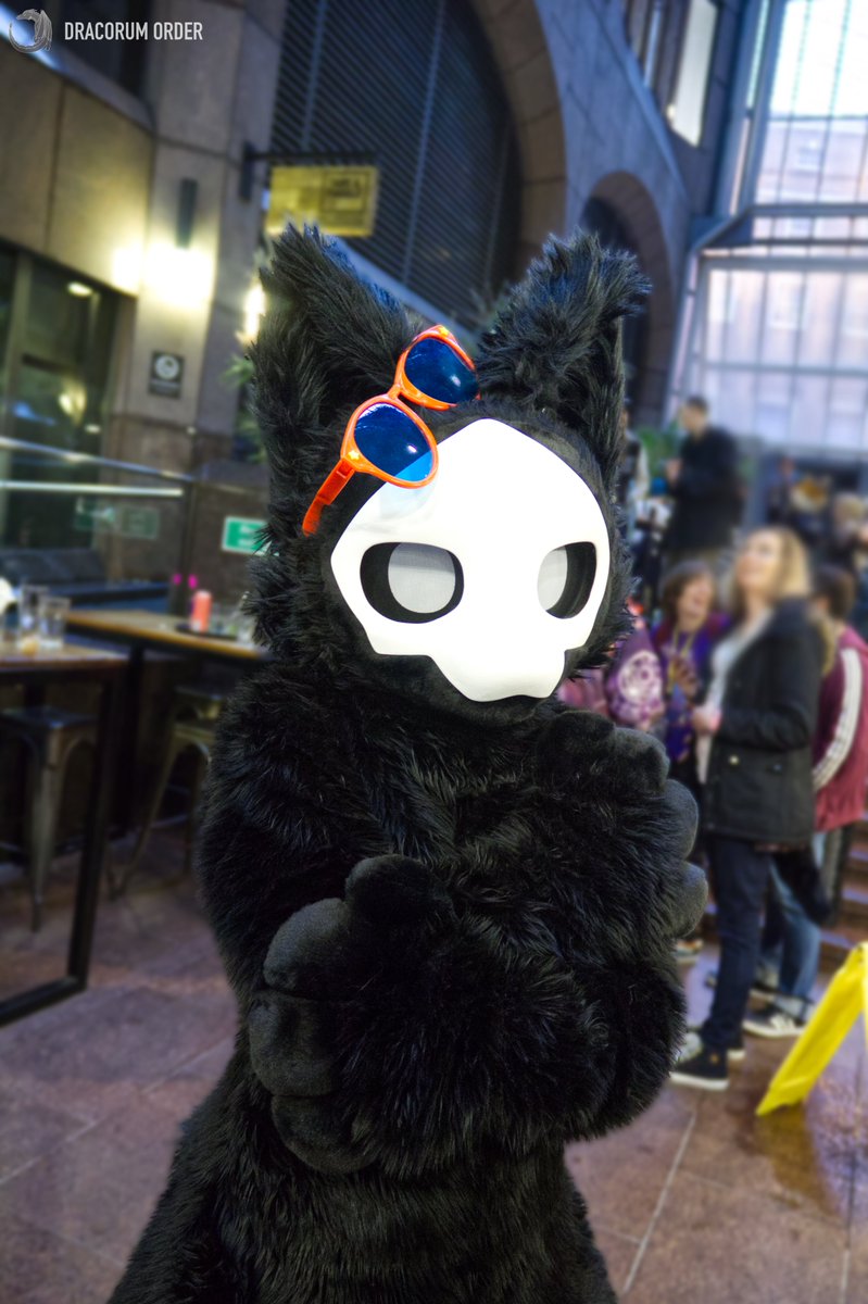 Have you seen my glasses?
#FursuitFriday #Puro #Changed

📸:<a href="/DracorumOrder/">Dracorum Order 🧧</a>