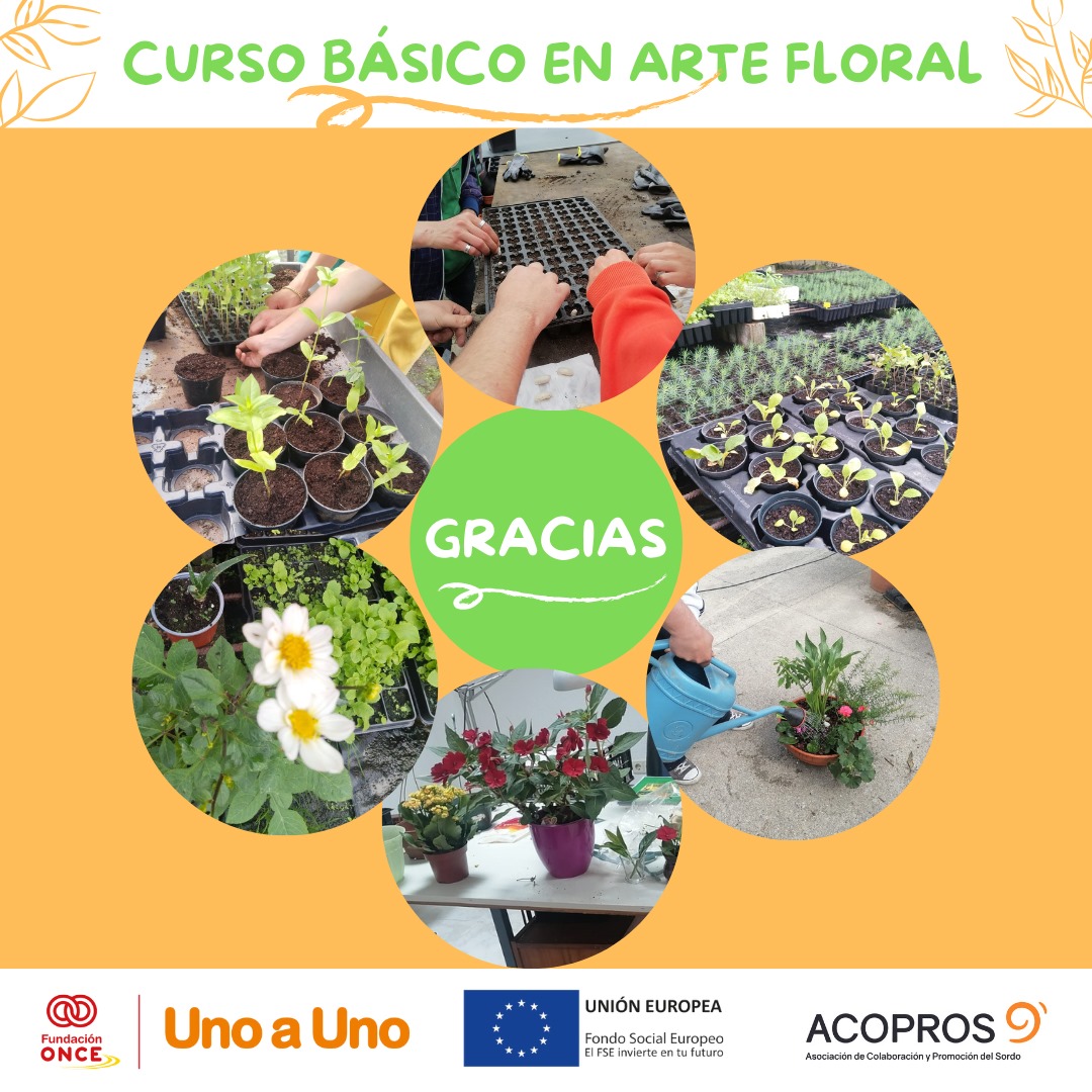 acoprosgal's tweet photo. 🎉 La semana pasada hemos concluido el “Curso Básico de Arte Floral”, desarrollado en Lugo.

💞Muchísimas gracias a todas las personas que lo habéis hecho posible.

🙏 ¡GRACIAS!.

#formacion #acopros #insercionlaboral #discapacidad https://t.co/SqKW0DEThv