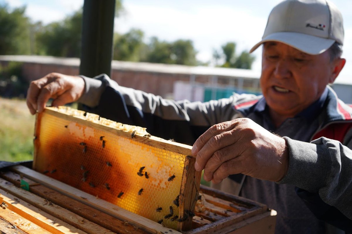 How far have we come on #ClimateAction &amp; biodiversity preservation since the #GlobalGoals were adopted? Human activity is endangering our future, but there is hope.

Our <a href="/UN/">United Nations</a> teams on the ground are supporting countries advance on these game-changing areas.
un-dco.org/stories/driven…