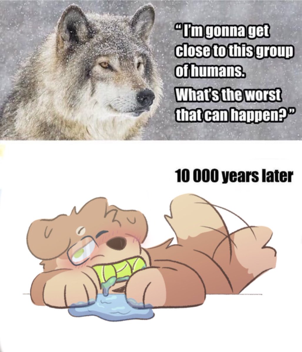 MaxFluffys's tweet photo. Today I feel like this https://t.co/hiKBdJmyw4