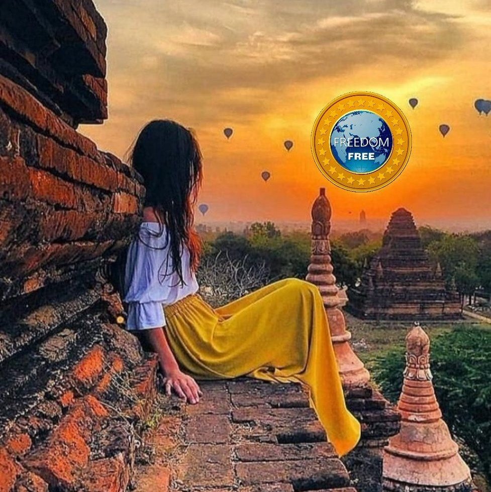 Crypto Gal tweet media