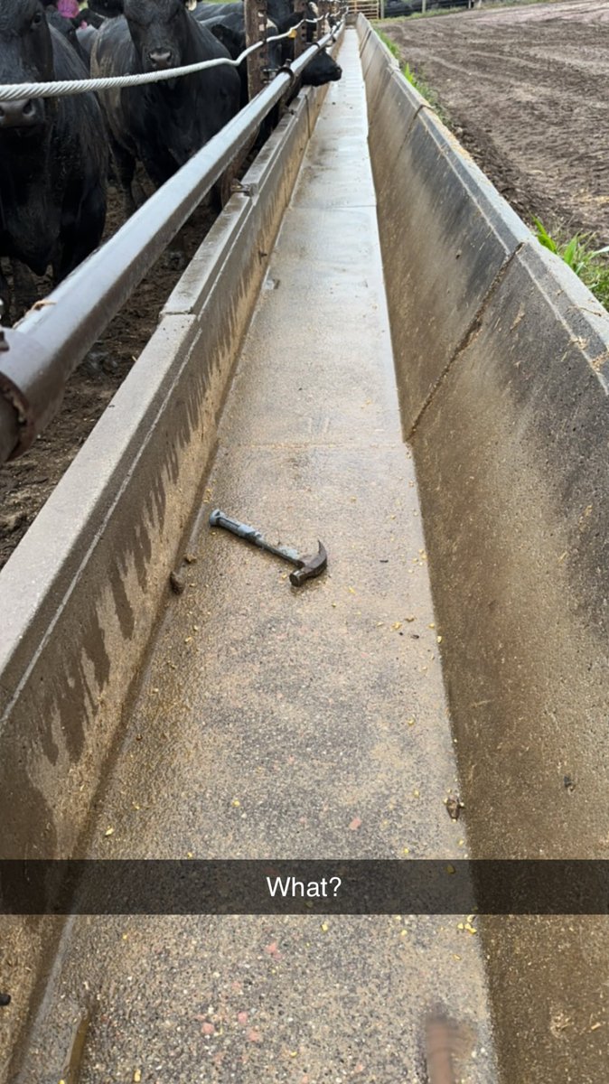 I’ll feed anything if it’s cheap enough