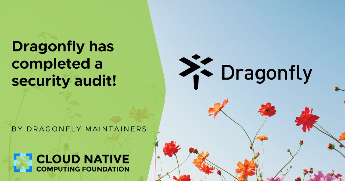 Dragonfly completes security audit! dlvr.it/Sw8KvC