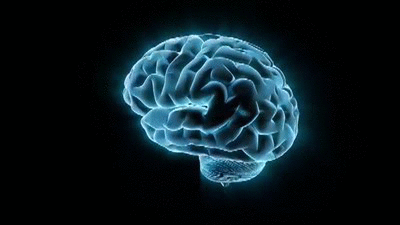 Cogan Lab (@coganlab) on Twitter photo The Cogan Lab is looking for a research technician to analyze data from invasive human neural recordings acquired during verbal working memory tasks. The candidate will work closely with the PI <a href="/Cogan_G/">Gregory B. Cogan</a> and Neurosurgery Resident Daniel Sexton. Join us!
coganlab.org/researchtech23 The Cogan Lab is looking for a research technician to analyze data from invasive human neural recordings acquired during verbal working memory tasks. The candidate will work closely with the PI <a href="/Cogan_G/">Gregory B. Cogan</a> and Neurosurgery Resident Daniel Sexton. Join us!
coganlab.org/researchtech23