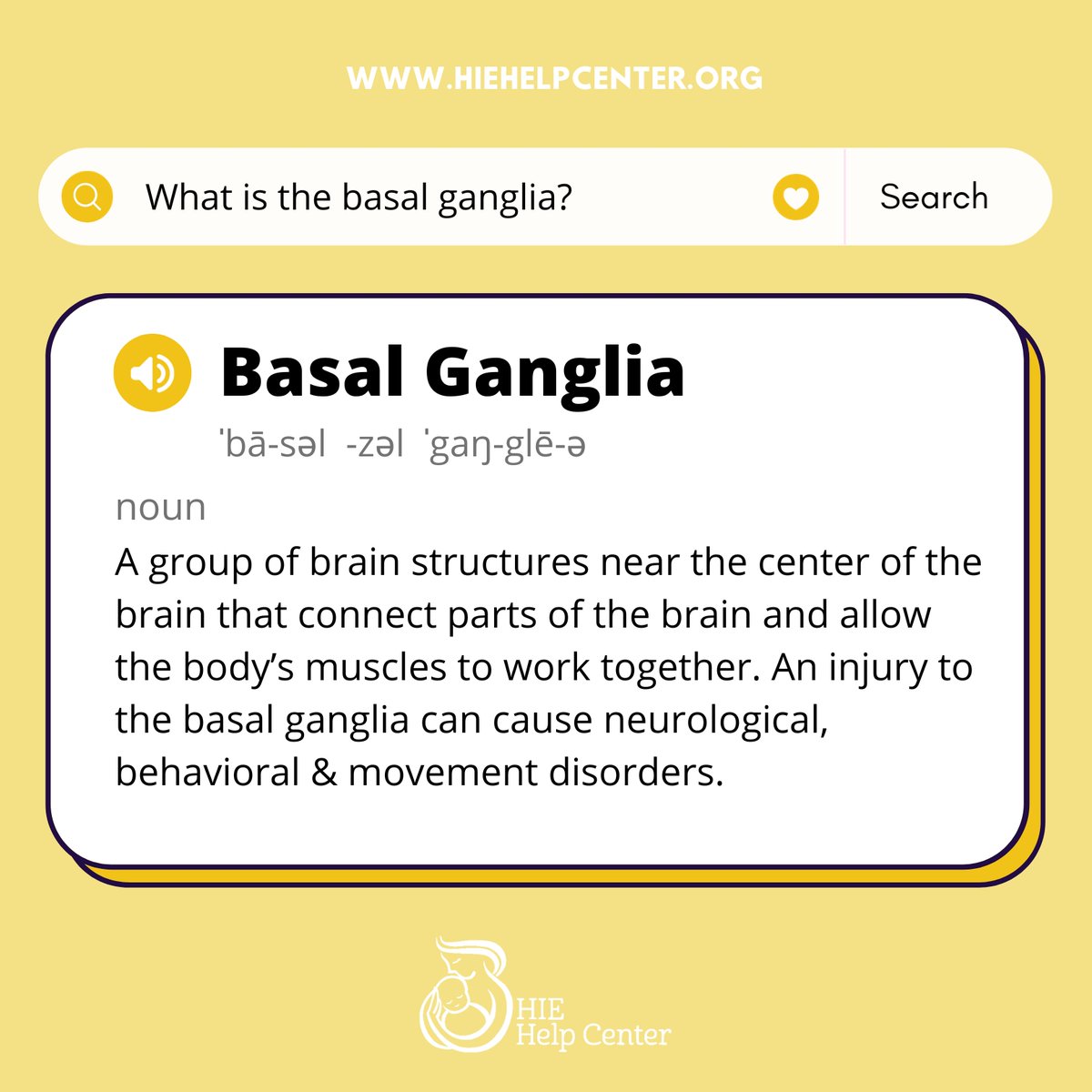 What is the basal ganglia? How does it relate to HIE?

#basalganglia #hypoxicischemicencephalopathy #HIE