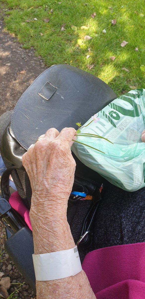 Lovely walk with one of my patients yesterday, slow walk watching birds , picking blackberries and flowers 🌺 it was good day 🙂 <a href="/MichelleLewins3/">Michelle Lewins RN BSc (Hons)</a> <a href="/DementiaFriends/">Dementia Friends</a> <a href="/dementiaservic3/">dementia services QE/Admiral Nurses</a>