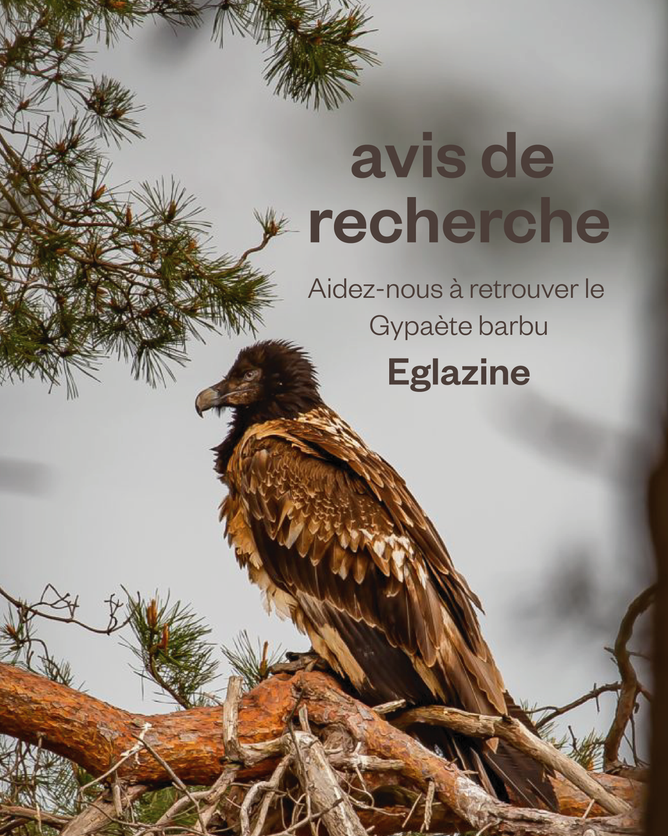 Parc national des Cévennes tweet media