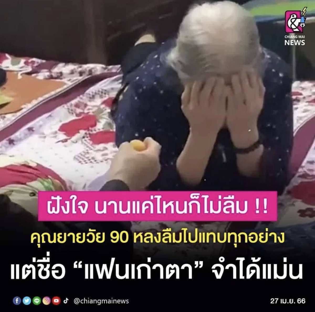 บ (@whalinocean) on Twitter photo 