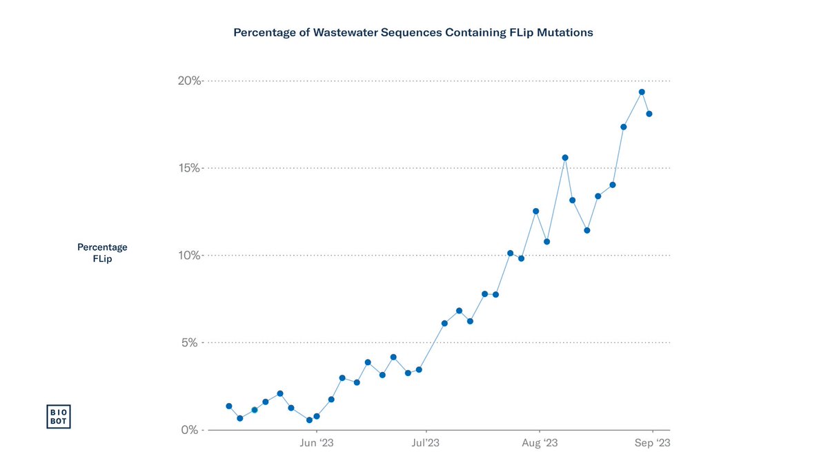 Latest US genomics
While EG.5's and FL.1.5.1 variants are still most common circulating cause of cases, the growth advantage and rise of the FLip variants (see <a href="/BiobotAnalytics/">Biobot Analytics</a>  graph at right) and HV.1 are notable 
covid.cdc.gov/covid-data-tra… and H/T @siamosolocani