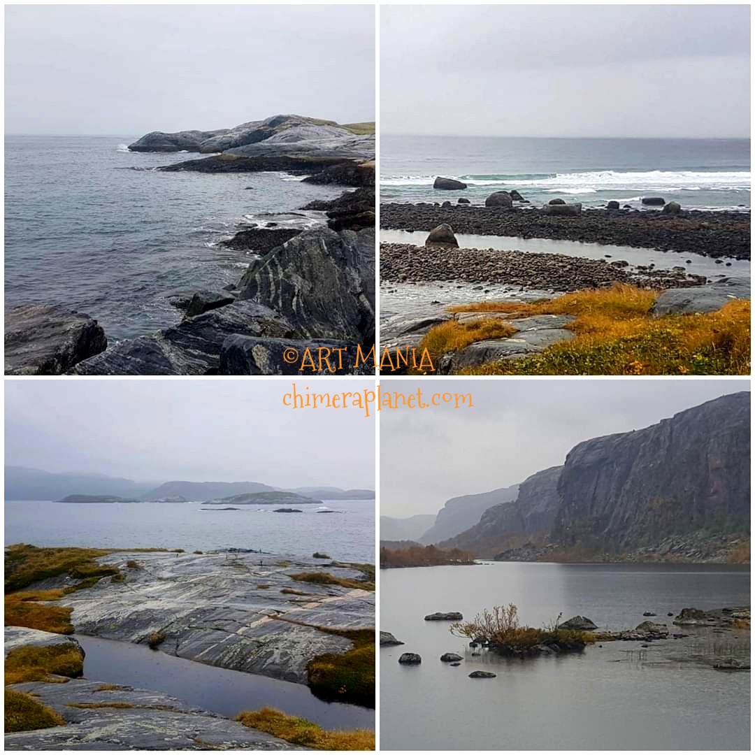 Magnificent landscapes of Norway 🥰🍁🍂 #Norway #iloveautumn #ilovenature #arcticnature #NatureBeauty #naturelovers #landscape #Arctic
