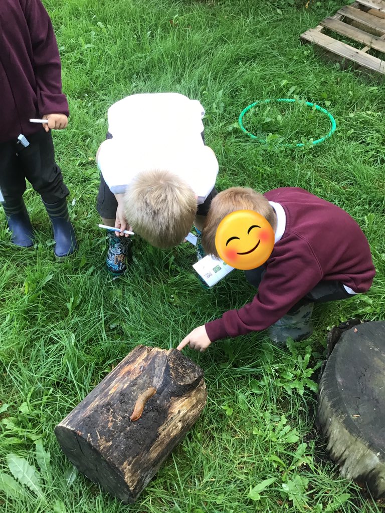 MrsCoenMPA's tweet photo. Today Reception have loved exploring forest school. We learned the rules of being safe and how to respect animals and nature #moorsidepa #moorsidepaeyfs #moorsidepascience https://t.co/ycB20rldlH