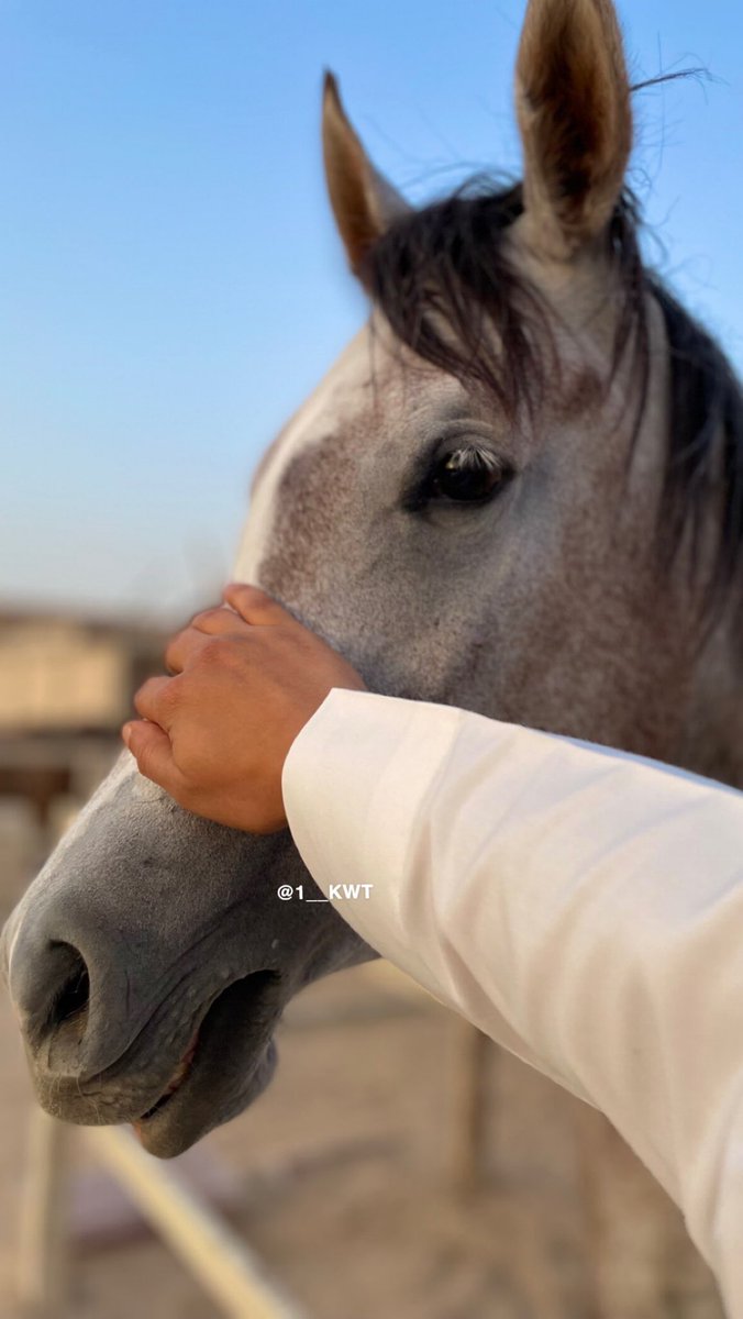خذلان tweet media