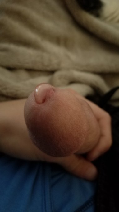 Pro Tip: Dry condoms can be super useful for catching pre! https://t.co/ISD2pns93t<a href="/tag/panties"class="tags"><span>#panties</span></a>