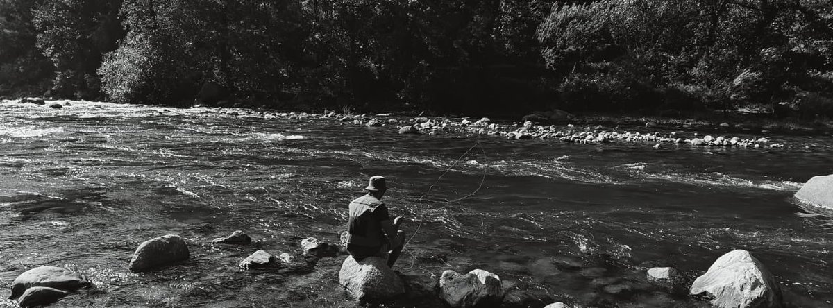 kira____1996's tweet photo. Time for some fishing 🎣
#ShotonOnePlus #Xpanmode https://t.co/Ek7kVCU345