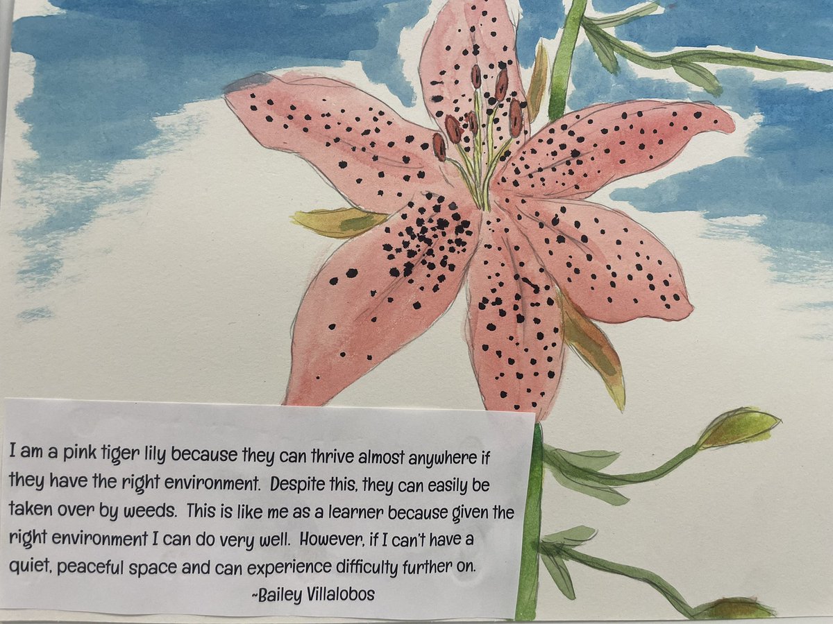 MrsCurryBMS's tweet photo. What kind of flower (learner) are you? @Farrell__Tina @MsMPavlick @BernerChiefs #thinkinginmetaphors #6thgradersareawesome #middleschool @epattou https://t.co/zoi55iYZ2I