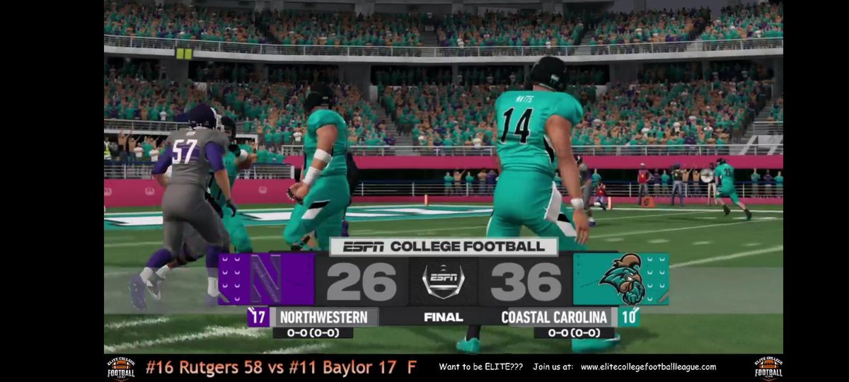 ECFL Northwestern Wildcats tweet media