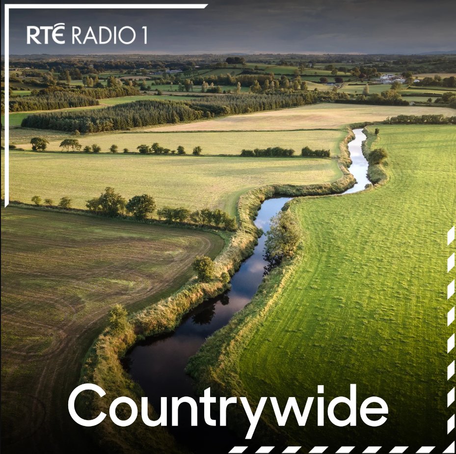 acorns_ie's tweet image. Tune in to @RTECountryWide tomorrow morning to hear past participants @amfeighery, Rita Maunsell and Georgia Quealy talk about starting their businesses in rural Ireland and how ACORNS has helped them along the way!

@agriculture_ie