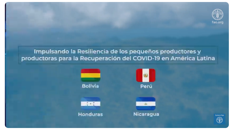 FAONicaragua's tweet photo. Otra experiencia innovadora en #FAOTransforma es el proyecto #RELEVA dirigido a más de 1⃣9⃣0⃣0⃣0⃣familias de Nicaragua, Bolivia, Perú y Honduras que mejoraron sus medios de vida ante los impactos del COVID-19 y los huracanes Eta e Iota, iniciativa apoyada por #Canada https://t.co/u94lZb9hSz